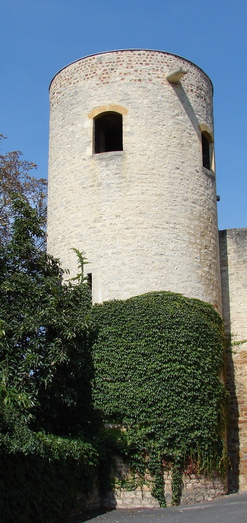 Une des Tours du Château - Trévoux