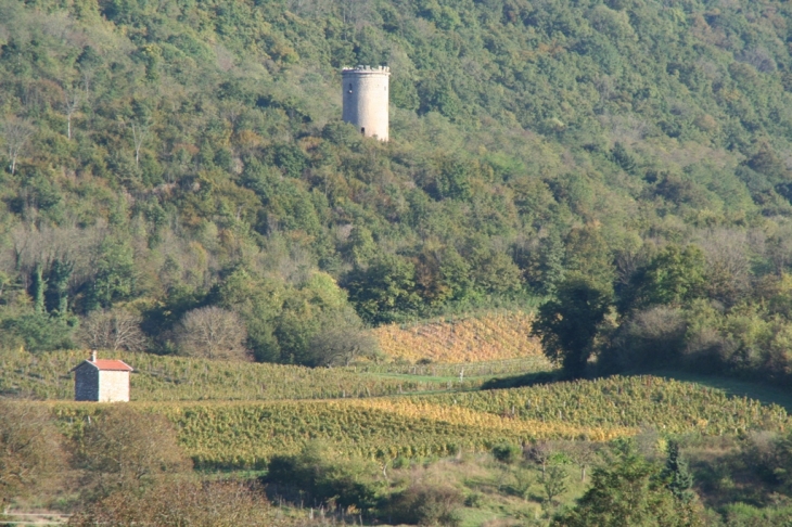 Vins-du-Bugey- Domaine-Duport -Joseph  - Vaux-en-Bugey