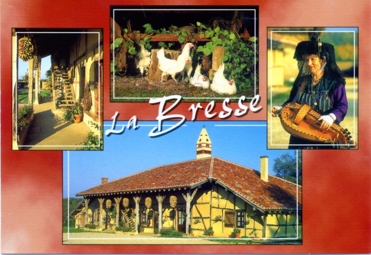 La Ferme Auberge du Grand Colombier(carte postale de 1990). - Vernoux