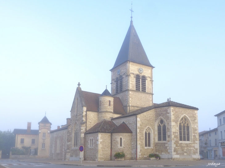 Villars-les-Dombes. Brume matinale.