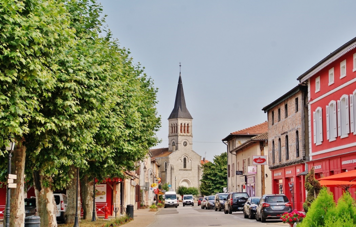  église Saint-Martin - Vonnas