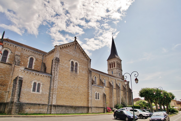  église Saint-Martin - Vonnas