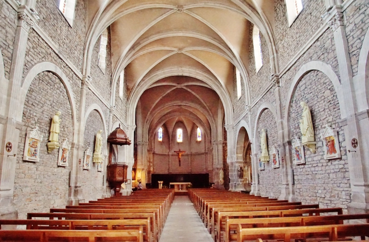  église Saint-Martin - Vonnas