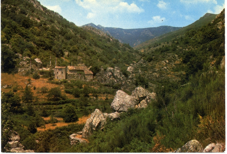 Vallée du Mas (carte postale de 1970) - Antraigues-sur-Volane