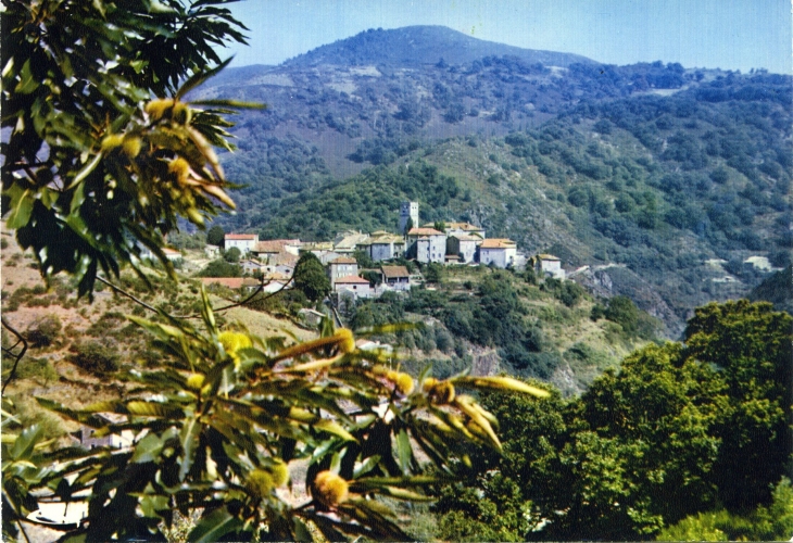 Vue générale, Alt 470m (carte postale de 1970) - Antraigues-sur-Volane