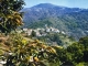 Photo précédente de Antraigues-sur-Volane Vue générale, Alt 470m (carte postale de 1970)