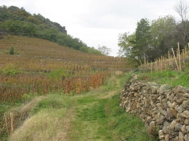 Arras sur rhone - Arras-sur-Rhône