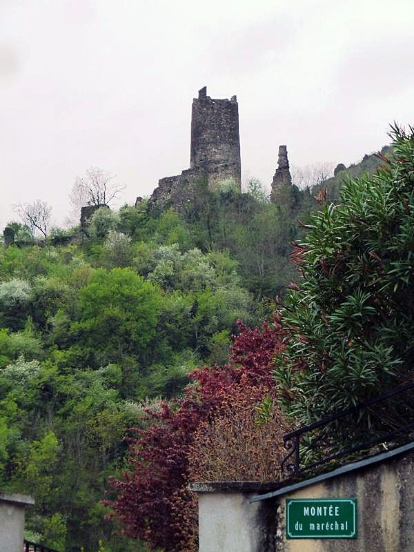 Vue sur les ruines du château - Arras-sur-Rhône