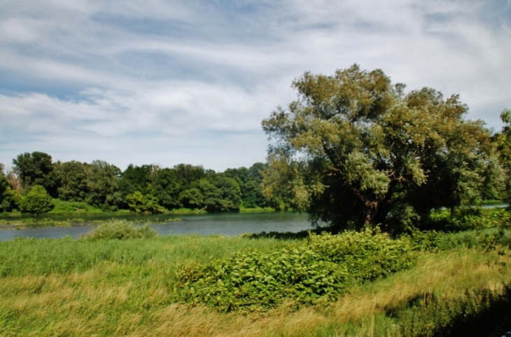 Le Rhône - Baix