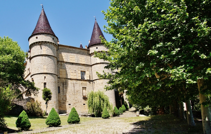 Château  - Chambonas