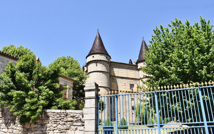 Château  - Chambonas