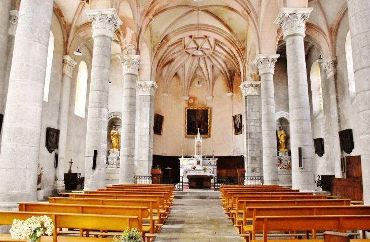  église Saint-Martin - Chandolas