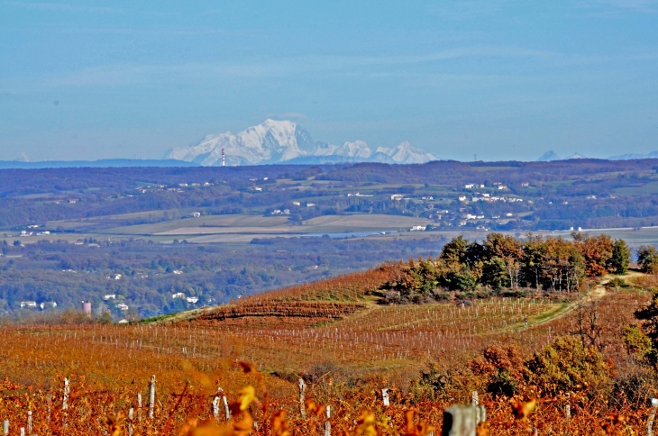 Le Mont Blanc  - Charnas