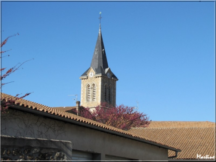 Le Clocher - Félines