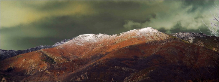 Premiers flocons - La Souche