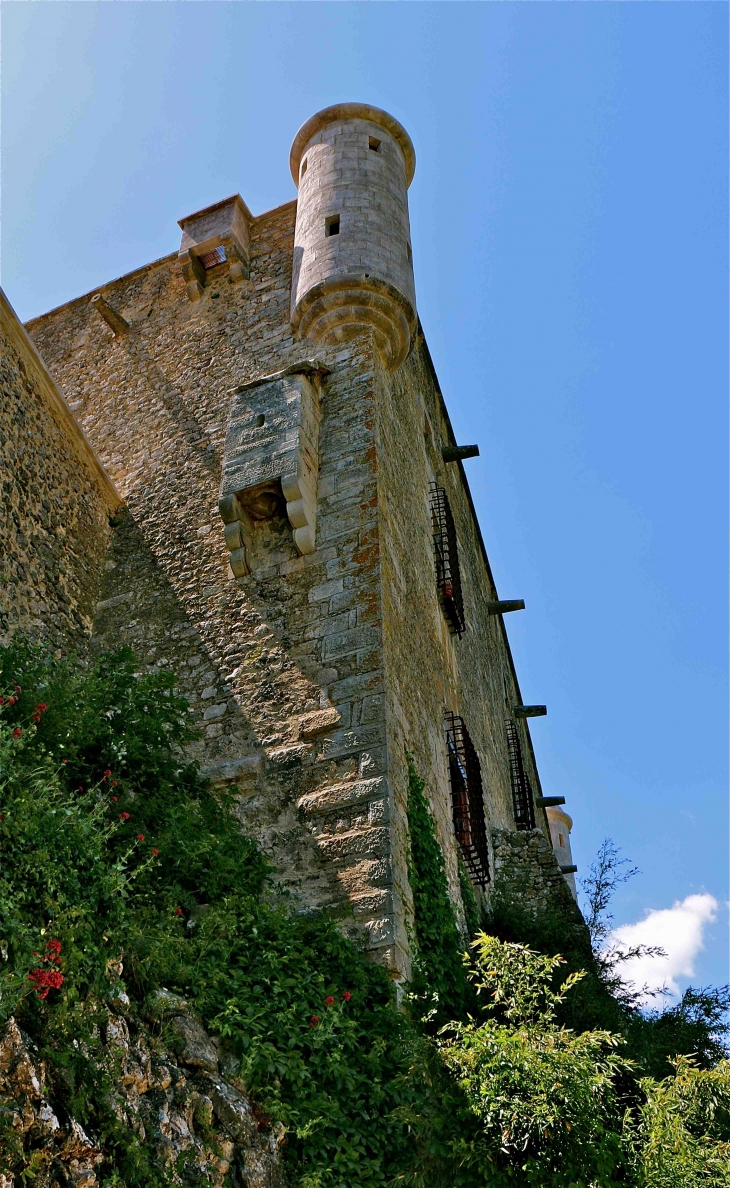 Le château des Roure - Labastide-de-Virac