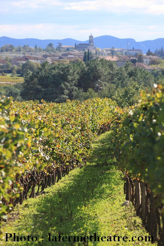 Notre dame (Photo prise sur le sentier des vignerons) - Lablachère