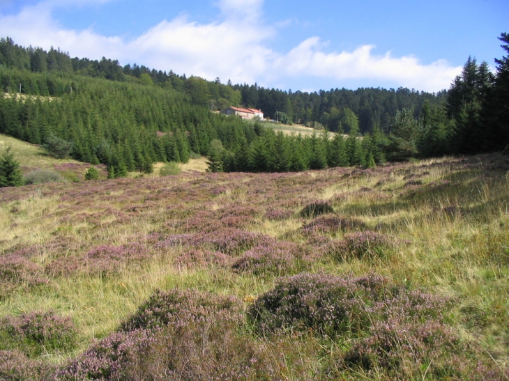 Lanarce, ferme du Brugeas