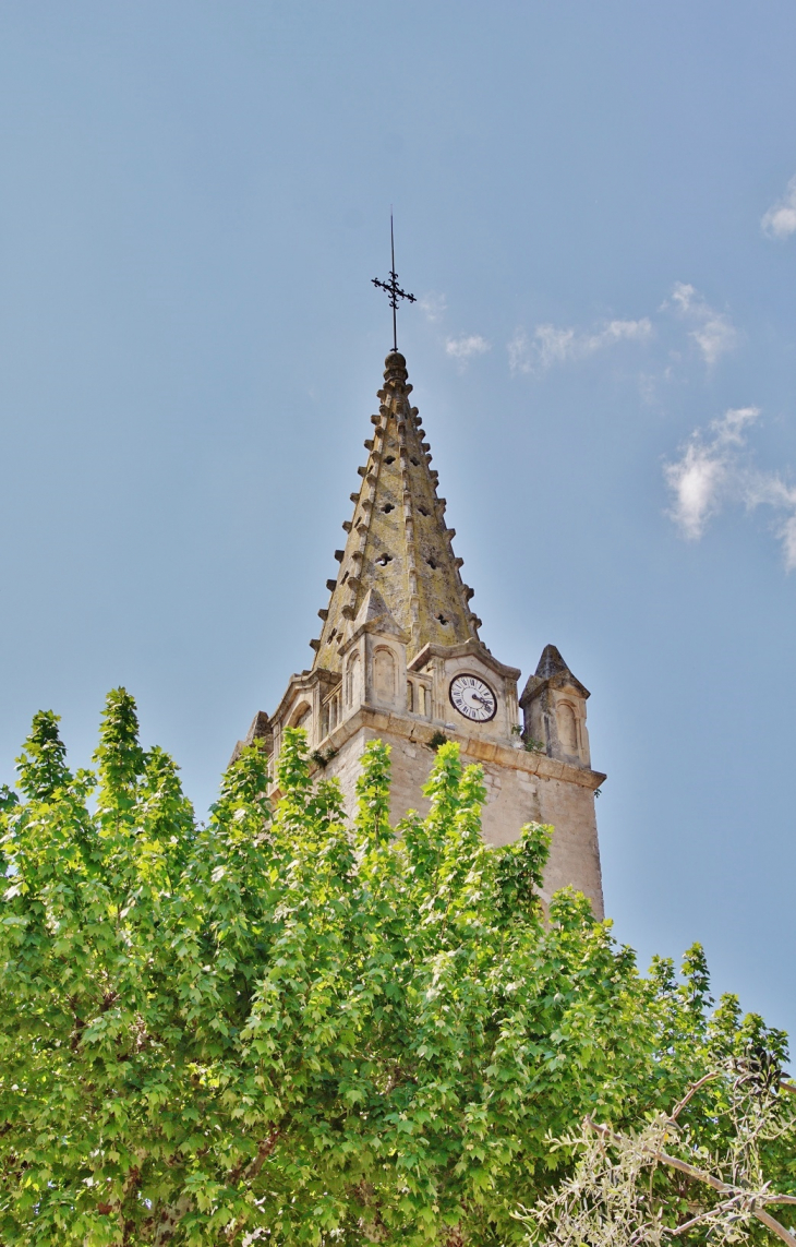  église Saint-Martin - Lavilledieu