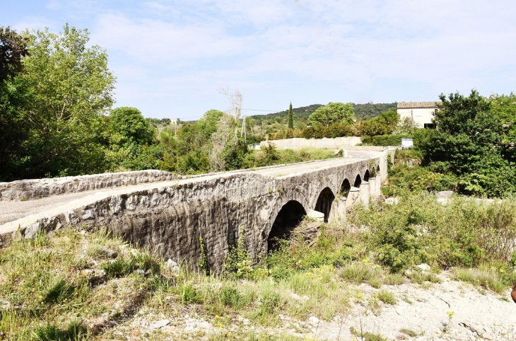 Pont sur Le Chassezac - Les Salelles