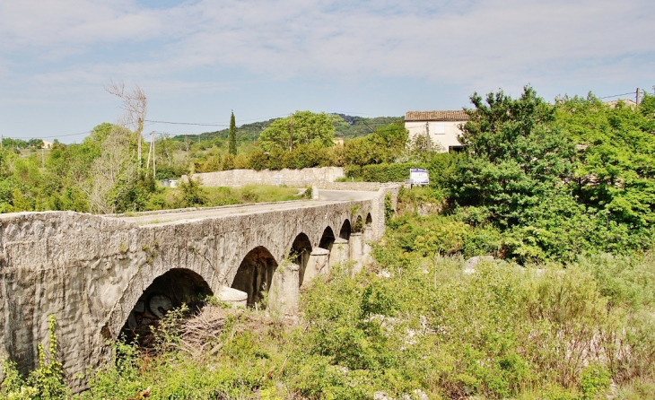 Pont sur Le Chassezac - Les Salelles