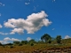 Photo suivante de Les Vans Nuages au dessus de Chassagnes