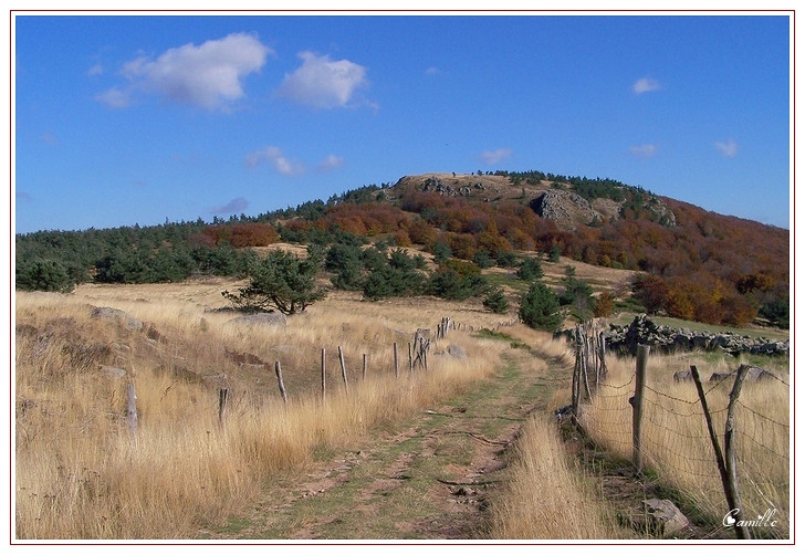 Automne - Mézilhac