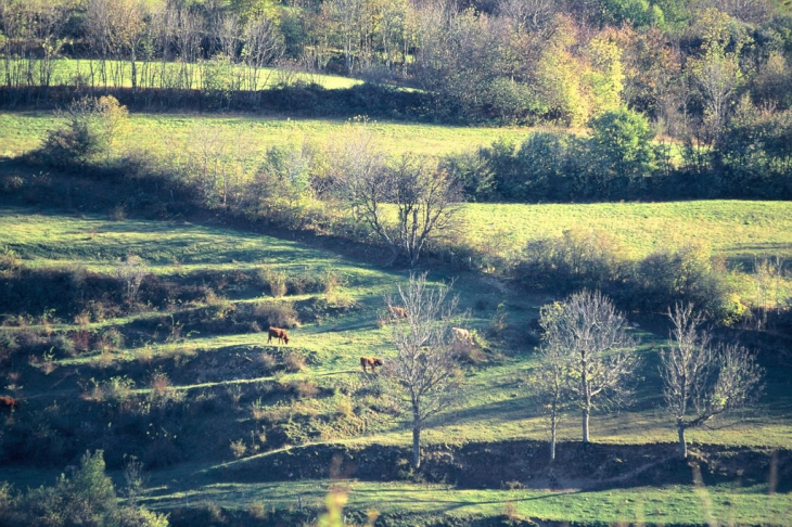 Col du juvenet - Préaux