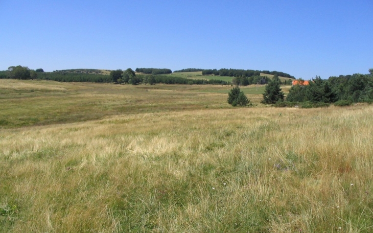 La petite Narce - Sagnes-et-Goudoulet