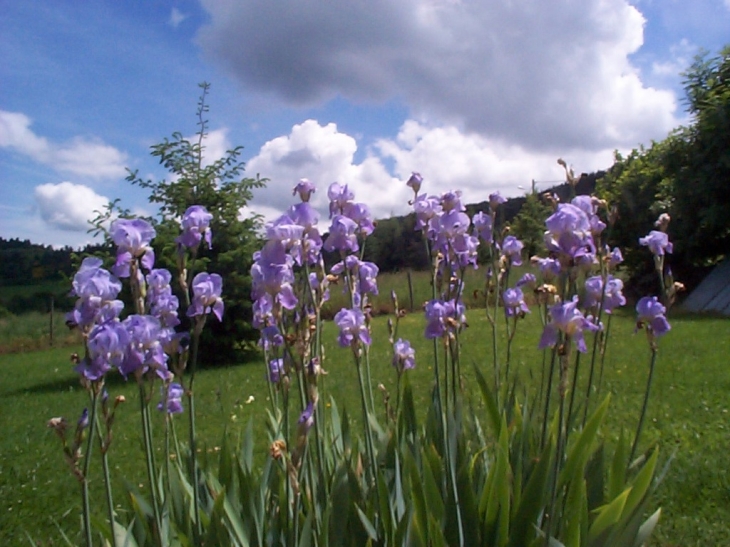 Village fleuri - Saint-Basile