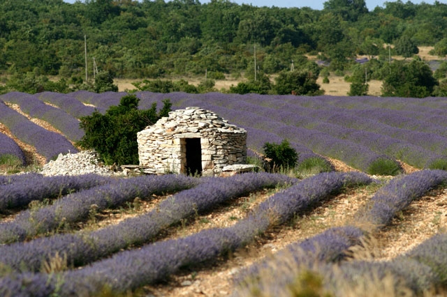 Borie elie - Saint-Remèze