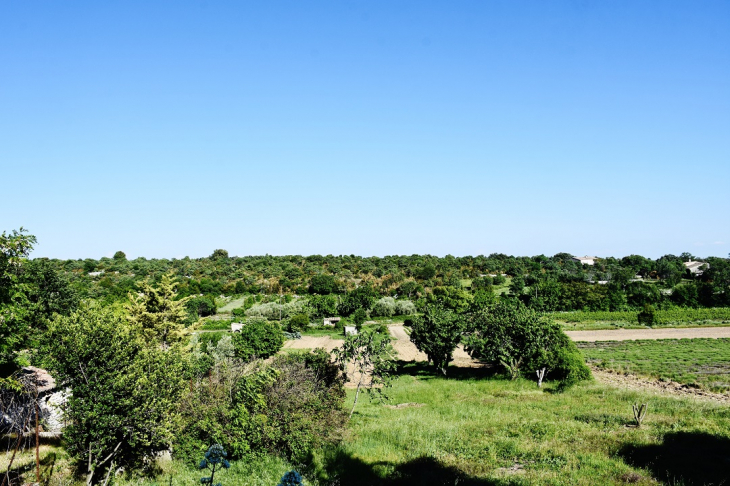 Campagne - Sampzon