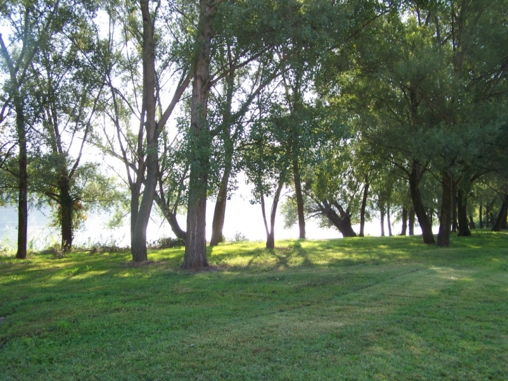 Bord du rhone (nord) - Serrières