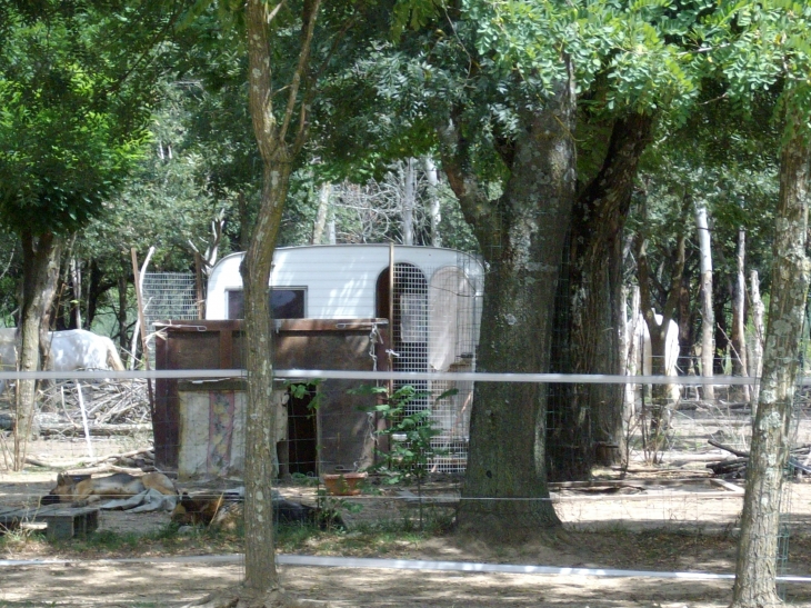 Et maintenant du camping sauvages ..... et les regles de l'urbanisme!!! - Vallon-Pont-d'Arc