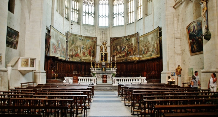  Cathédrale Saint-Vincent - Viviers