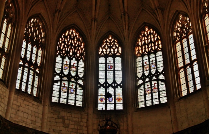  Cathédrale Saint-Vincent - Viviers