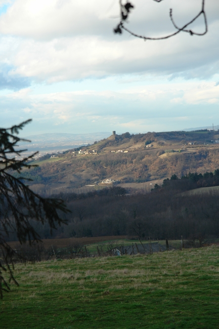 Vue de la Tour d'Albon depuis St Philibert