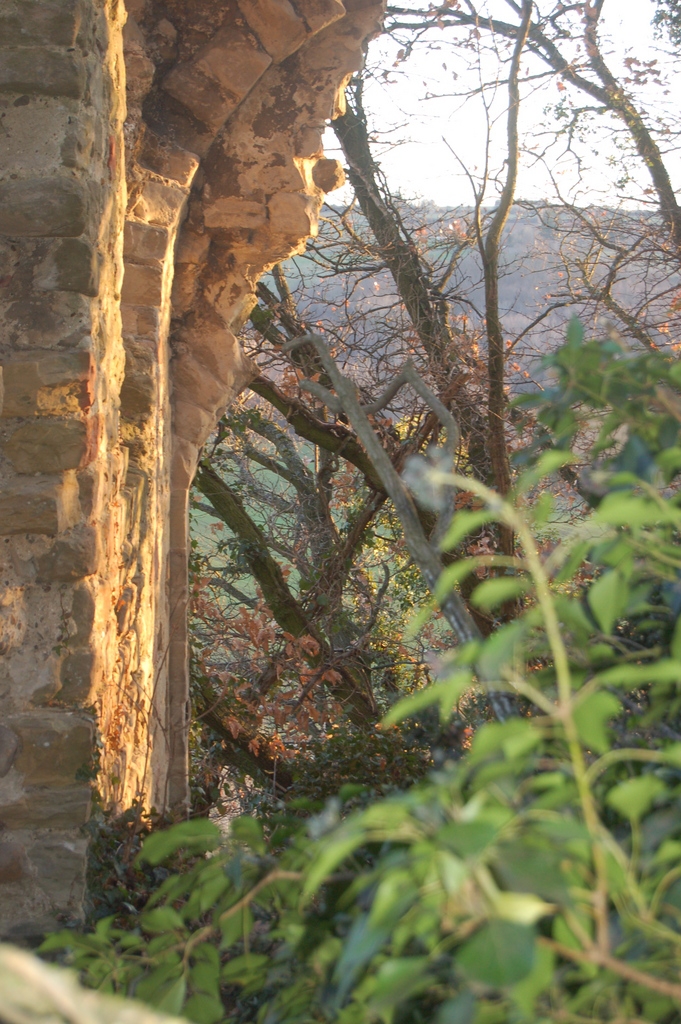 Vue porte sud château de Mantaille Anneyron