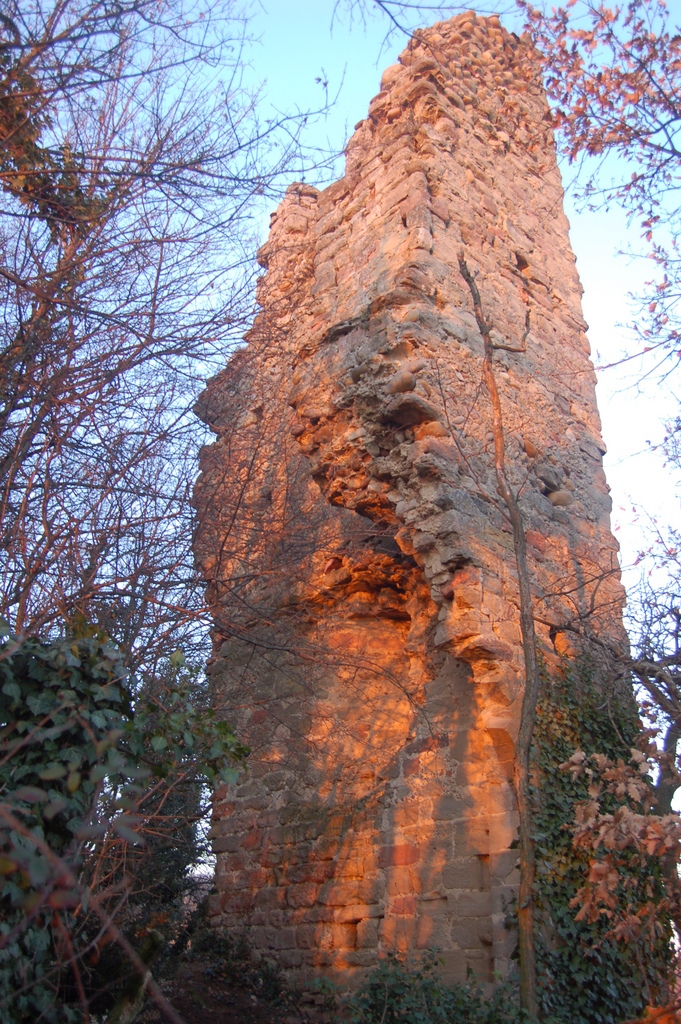 PARTIE SUD EST DU CHATEAU DE MANTAILLE ON EN 879 BOSON SE FIT ELIRE ROI DE L ACTUEL DAUPHINE - Anneyron