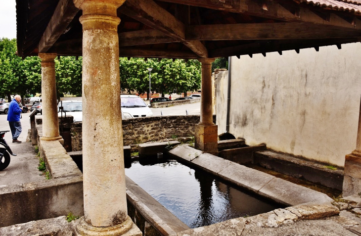 Le Lavoir - Beauvallon