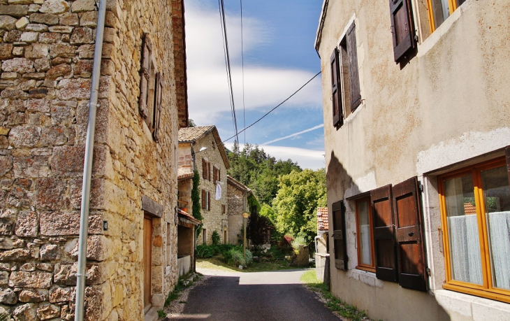 Bonneval-en-Diois ( La Commune ) - Boulc