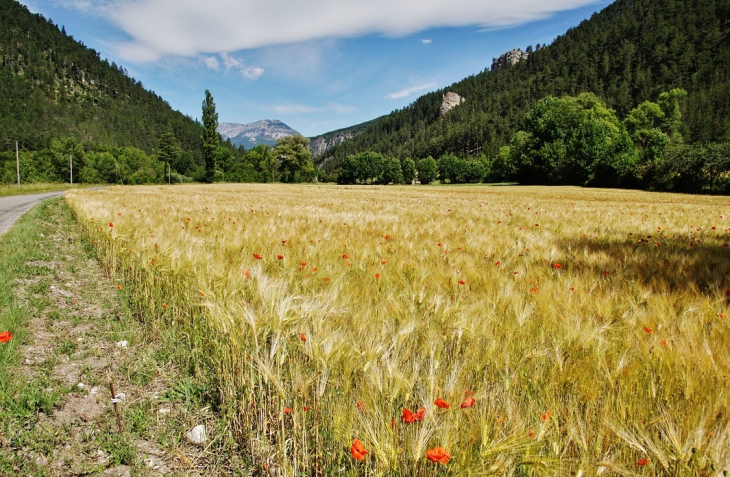 La Campagne - Boulc