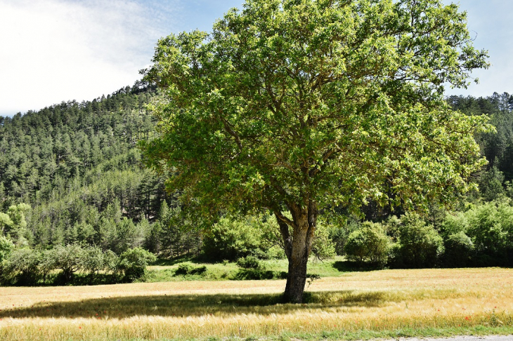 La Campagne - Boulc