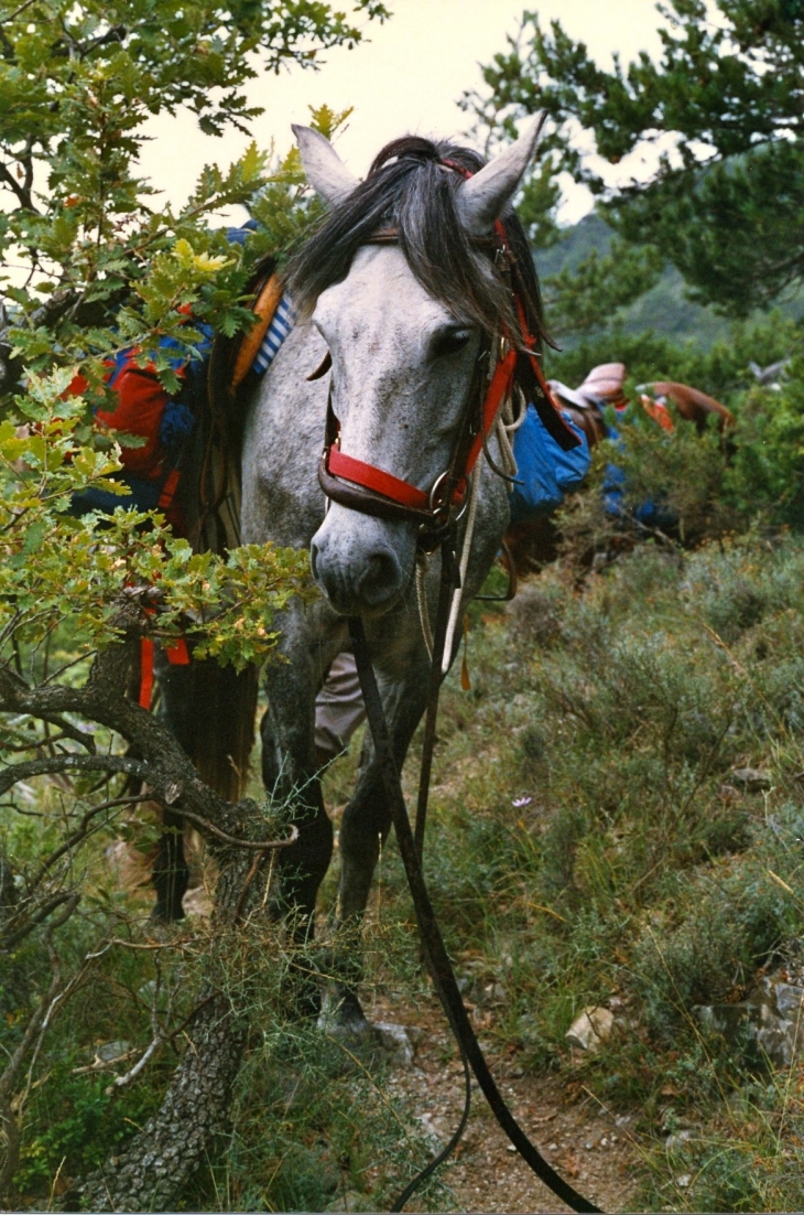 Aux alentours - Buis-les-Baronnies