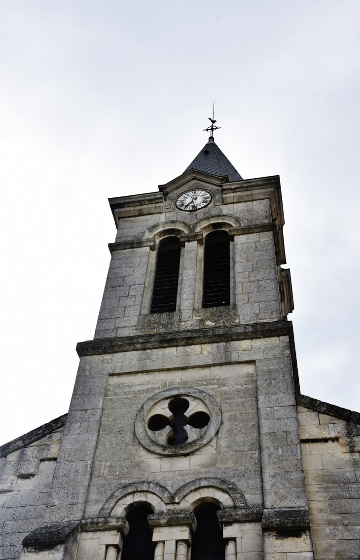  église Saint-Martin - Chanos-Curson