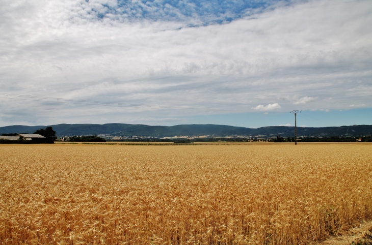 Panorama - Cléon-d'Andran