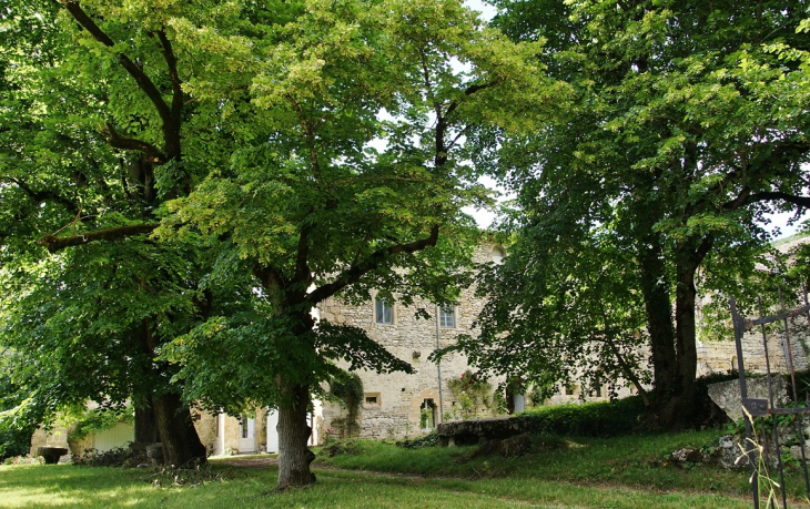 Abbaye de Valcroissant - Die