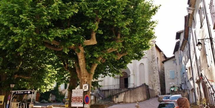    église Saint-Roch - Dieulefit