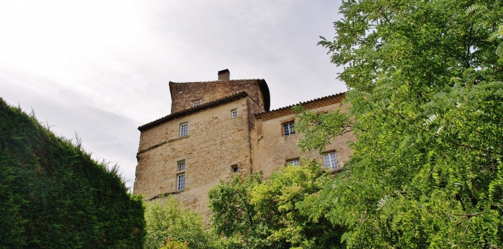 Le Château - Eurre