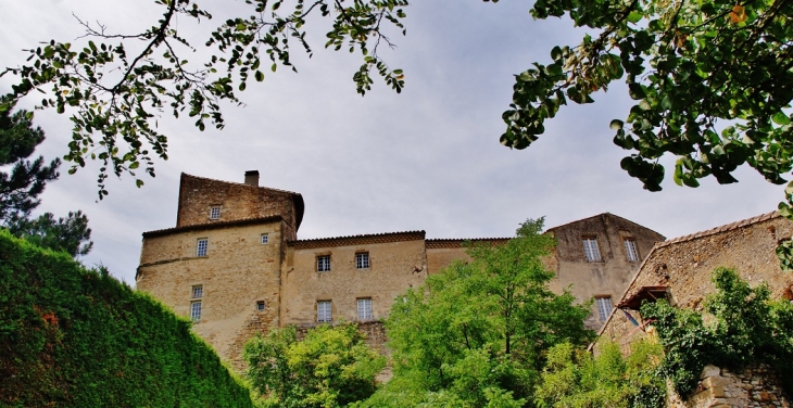 Le Château - Eurre